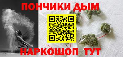 шишки Гатчина