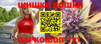 крисы Гагарин