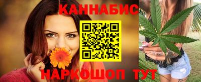 шишки Гатчина